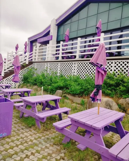 purple island Banwold Island in south korea 2024-11-03 at 5.17.40 PM